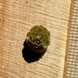 Mini Pinecones | Multiple Colours