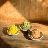 Mini Lotus & Ceramic Dish Set