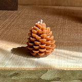 Medium Pinecones