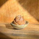 Mini Lotus & Brown Rim Dish Set