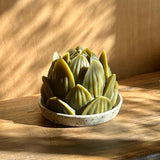 Large Olive Lotus & Ceramic Candle Plate Set