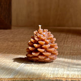Mini Pinecones | Multiple Colours
