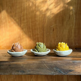 Mini Lotus & Ceramic Dish Set
