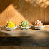 Mini Lotus & Brown Rim Dish Set