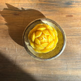 Mini Lotus & Brown Rim Dish Set