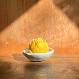 Mini Lotus & Ceramic Dish Set