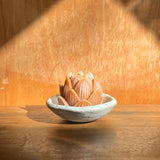 Mini Lotus & Ceramic Dish Set