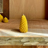 Small Pinecones