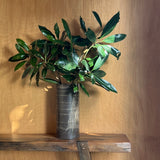 Large Beeswax Vase