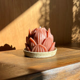 Large Lotus & Ceramic Plate Set