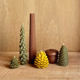 Acorn Candles