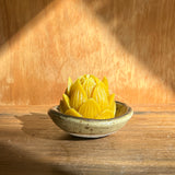 Mini Lotus & Brown Rim Dish Set
