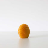 Scallop Shell Beeswax Candles