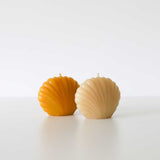 Scallop Shell Beeswax Candles
