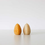 Scallop Shell Beeswax Candles