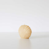 Scallop Shell Beeswax Candles