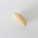 Scallop Shell Beeswax Candles
