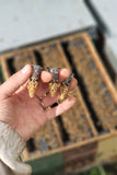 The Authentic Honey Co-Beekeeping Services-Virgin Queen Cells